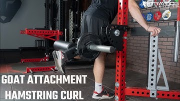 Standing Hamstring Curl Attachment