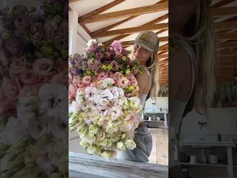 Video: Lisianthus-plante: Leer hoe om Lisianthus-blomme te kweek