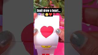 A snail drew a heart for me… 💔🐌 #emotionalstory #shorts #story #viral #hearttouching