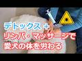 【ワクチン・駆虫剤の季節】デトックスと同時にやるリンパ・マッサージのやり方