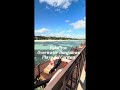 This is what Luxury living looks like 🌴Palafitos Over Water Bungalows