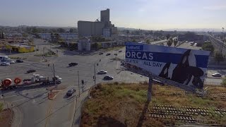 SeaWorld Billboard Liberation