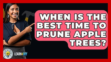 When Is The Best Time To Prune Apple Trees? - LearnToDIY360.com