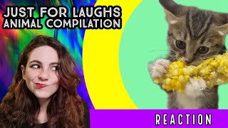 Just For Laughs - Funny Animals Compilation - REACTION!