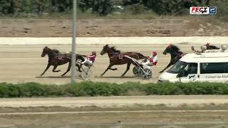 Vidéo de la course PMU GRAN PREMI DELS 5 ANYS