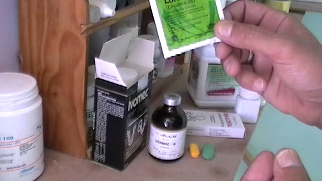 قاهر السلالات (11) الديدان التي تصيب الطيور      14   9   2014