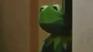 Kermit and the Chicken Sandwich
