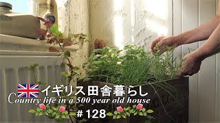 #128 室内の家庭菜園でハーブを収穫して使う