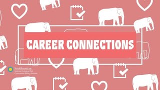 Career Connections: Web Developer