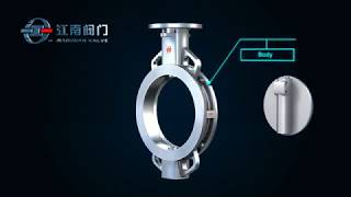 Bi directional High performance butterfly valve