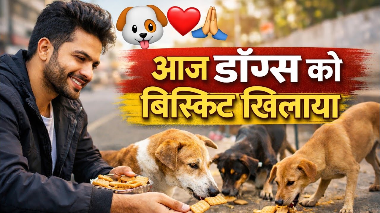 🐶 आज शाम को कुत्तों को बिस्किट खिलाया ❤️ | Street Dogs
