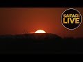 safariLIVES: Episode 13