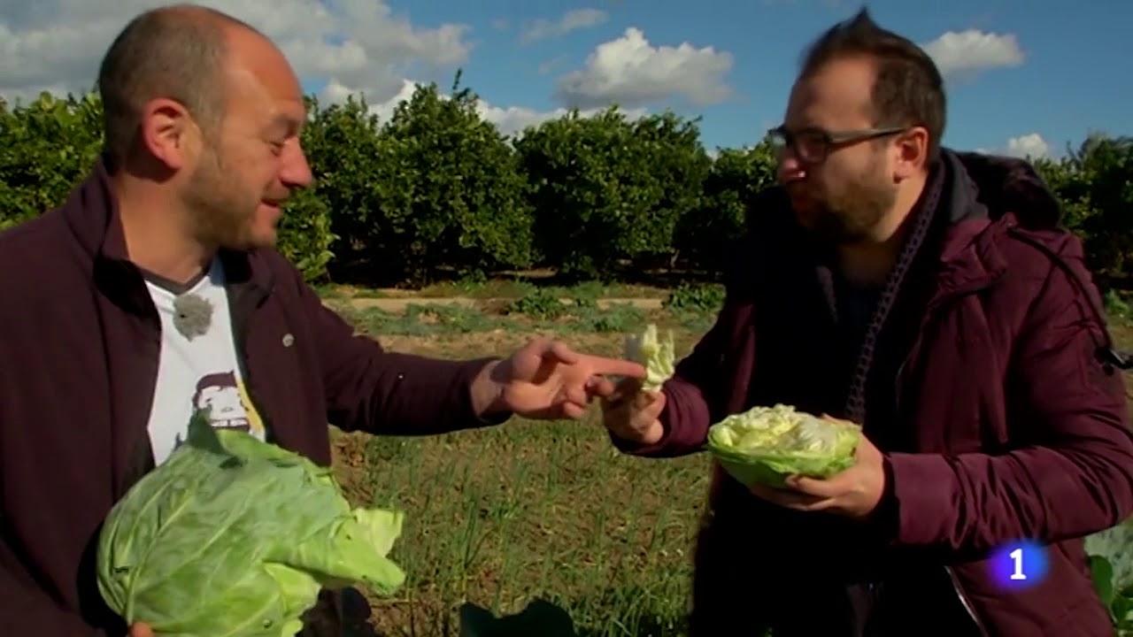 Flores Comestibles. TVE1 "Aquí la Tierra". 13 de febrero 2018, El Huertanico