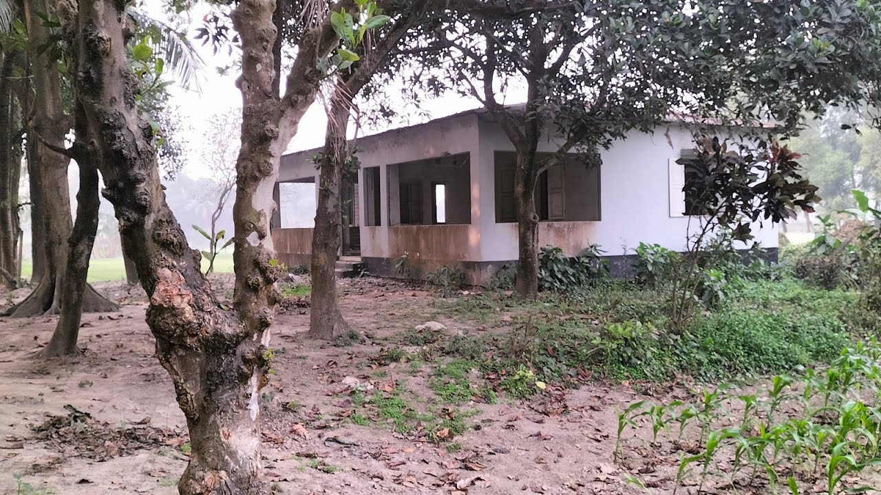 কম দামের জমি #পানির দামে বাড়ি সহ জমি কিনুন ঢাকার পাশে #commercial