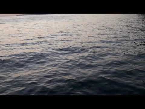 فيديو قصير عل بحر