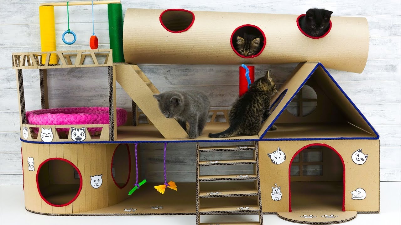 DIY Modular Cat House for Four Little Kittens - YouTube