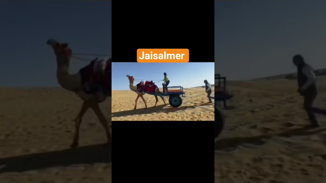 Riding a camel cart in Jaisalmer --