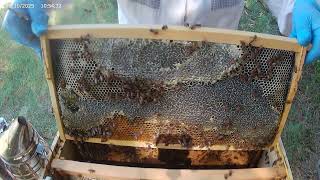 20250810 Hive 1 Part 1