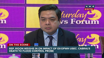 WATCH: Rep. Terry Ridon on impact of ex-DPWH Usec. Cabral