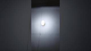 Just Walk On The Wall