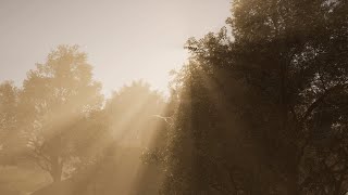 Natural Aesthetics in UE5 - Part 5.1 - Dynamic Outdoor Lighting