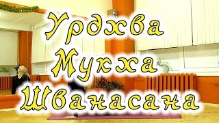 Йога асаны - Урдхва Мукха Шванасана (Собака Мордой вверх) Йога асаны - Урдхва Мукха Шванасана (Собака Мордой вверх)