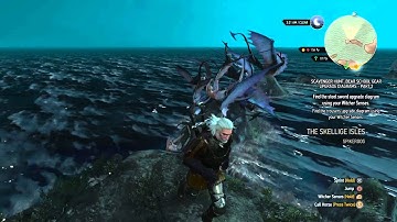 The Witcher 3: Floating Monsters Glitch
