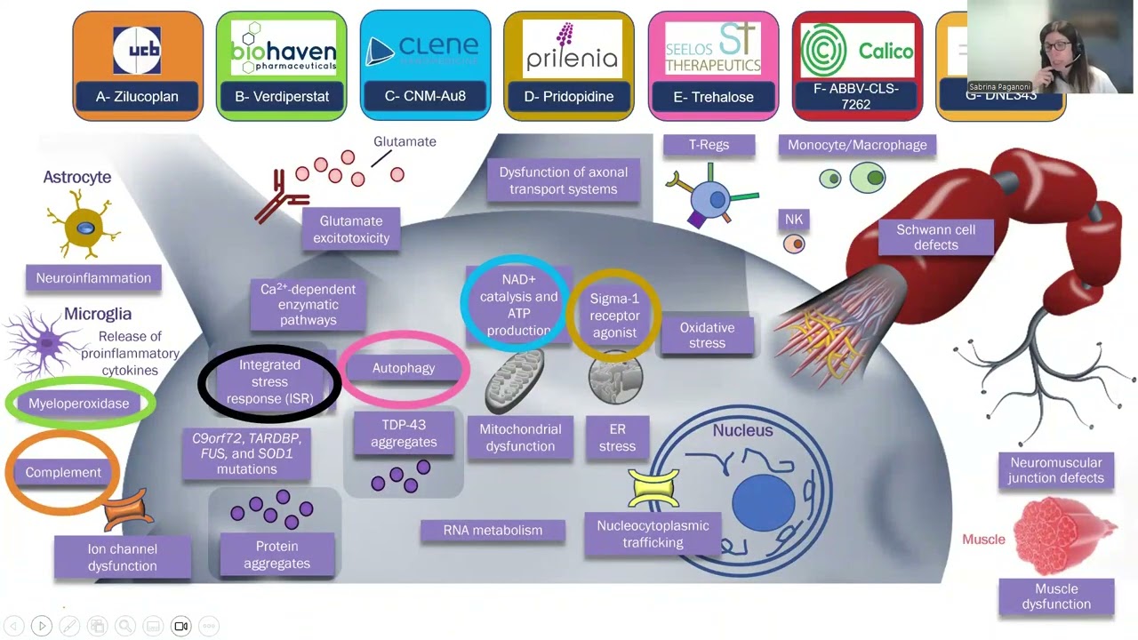 HEALEY ALS Platform Trial Webinar: December 18, 2025 | Mass General Hospital