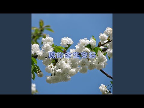 YouTube पर 星星落在海里 देखें YouTube पर 星星落在海里 देखें