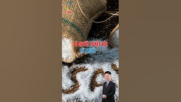 Bí Quyết Tuyệt Vời Từ Muối Ăn Ai Cũng Nên Biết