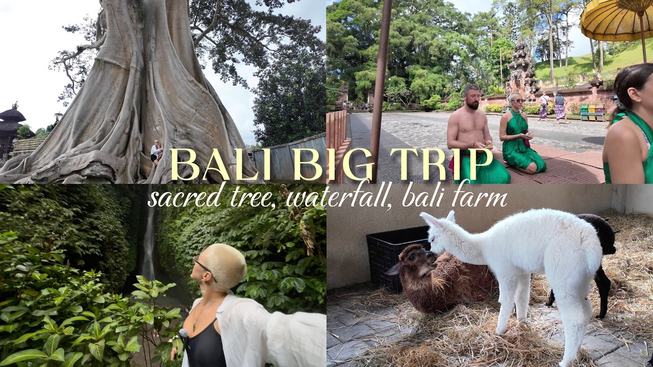 BALI BIG TRIP: 700 летнее дерево, водопад, альпаки и дельфины