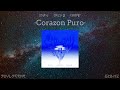 Rvfv Rels B Morad Corazon Puro 528 Hz Healing Frequency 