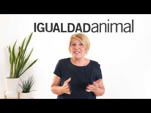 Pongamos fin al MALTRATO ANIMAL, pongamos fin al TRITURADO de pollitos