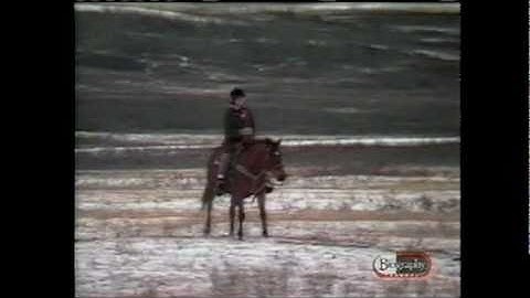 k.d.lang Interview 1986 - Part 2