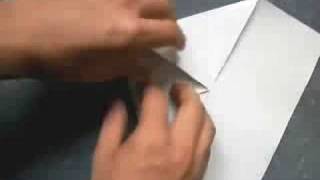 Schwalbe  (another paperplane)
