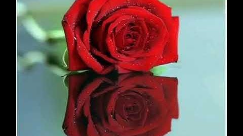 ماتيسر من سورة آل عمران من الايه ١٦٠ الئ الايه ١٨٠ للقارئ أبو الحسن الموصلي