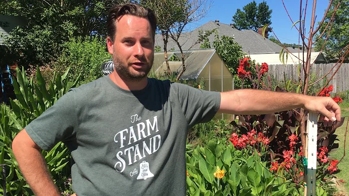 Garden Tour - Gilson Family - Conway, Arkansas