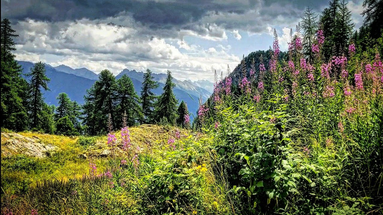 Thru Hiking The Via Alpina Red Trail R129 Vallouise To Freissiniéres ...