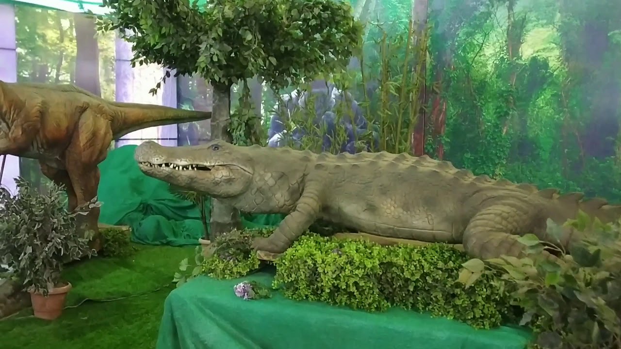 Solapur Shopping festival, and robot animals