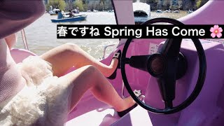 春の上野公園でスワンボートをひたすら漕ぐ Pedaling a Swan Boat in Ueno Park