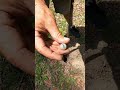 What They Didn’t Tell You About The XP Deus II!! #metaldetecting #history  #glassmarbles #xpdeusii