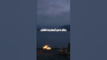 آية الكرسي✨🤍 | تلاوة خاشعة ومؤثرة. #quran #آيات_السكينة #اكسبلور #آيات #آية_الكرسي