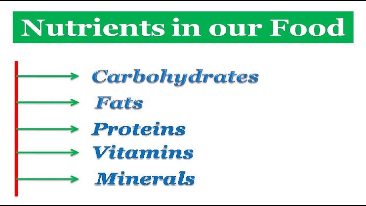 nutrients-in-our-food-youtube