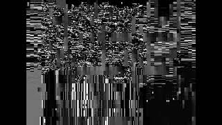 1639849 01000 - Vhs Static