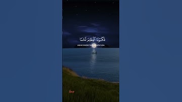 #القرآن_الكريم  #صلوا_على_النبي  #القارئ_ياسر_الدوسري