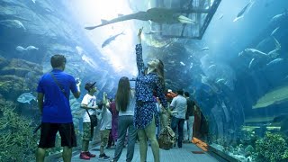 Dubai fish aquarium (inside visit) in ...