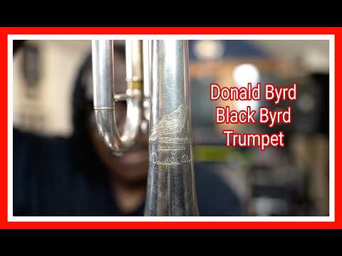 Donald Byrd -Black Byrd Trumpet #darrenbarrett #db #music #jazz #trumpet #love #hi #life #donaldbyrd