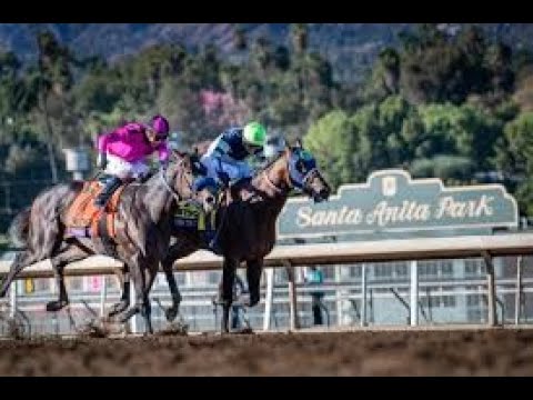 santa anita race selections