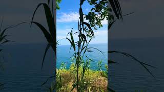 Oturup Saatlerce Izlemelik