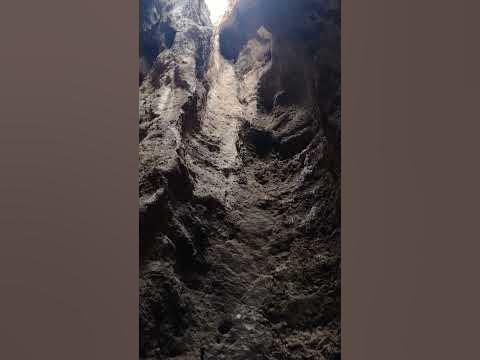 Python Up in Corner of the Cave #phython #snake #cave #caves #nature # ...